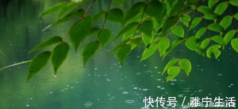 名篇&范成大最经典的一首诗，更是惊艳了世人800年，成为了千古名篇