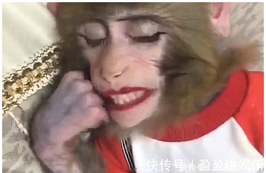 小王|女孩给猴子化妆,网友看到后调侃:想让它做我女朋友!