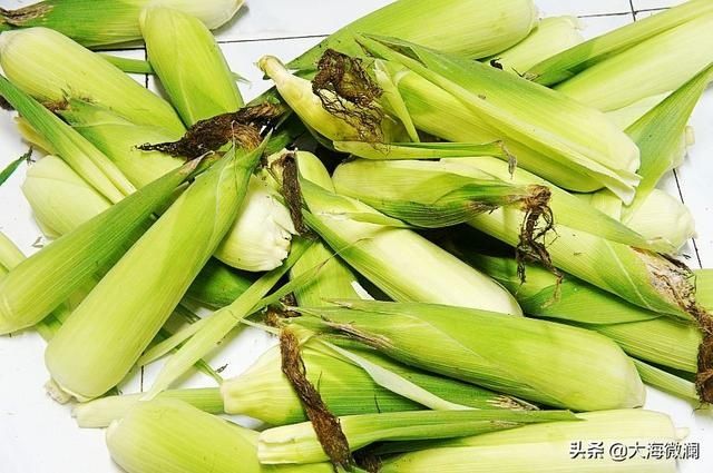 亲戚|姐的菜园喜获丰收，各式各样蔬菜都有，亲戚邻里大筐满小袋流