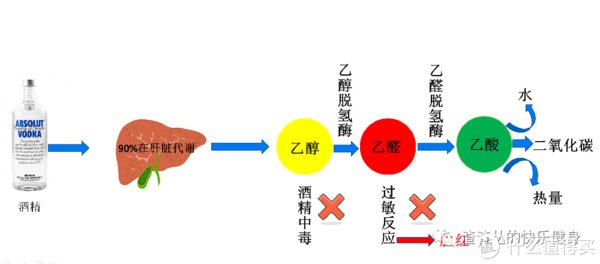 干货|两步改善「脂肪肝」,简单易懂好上手的实操干货来啦~
