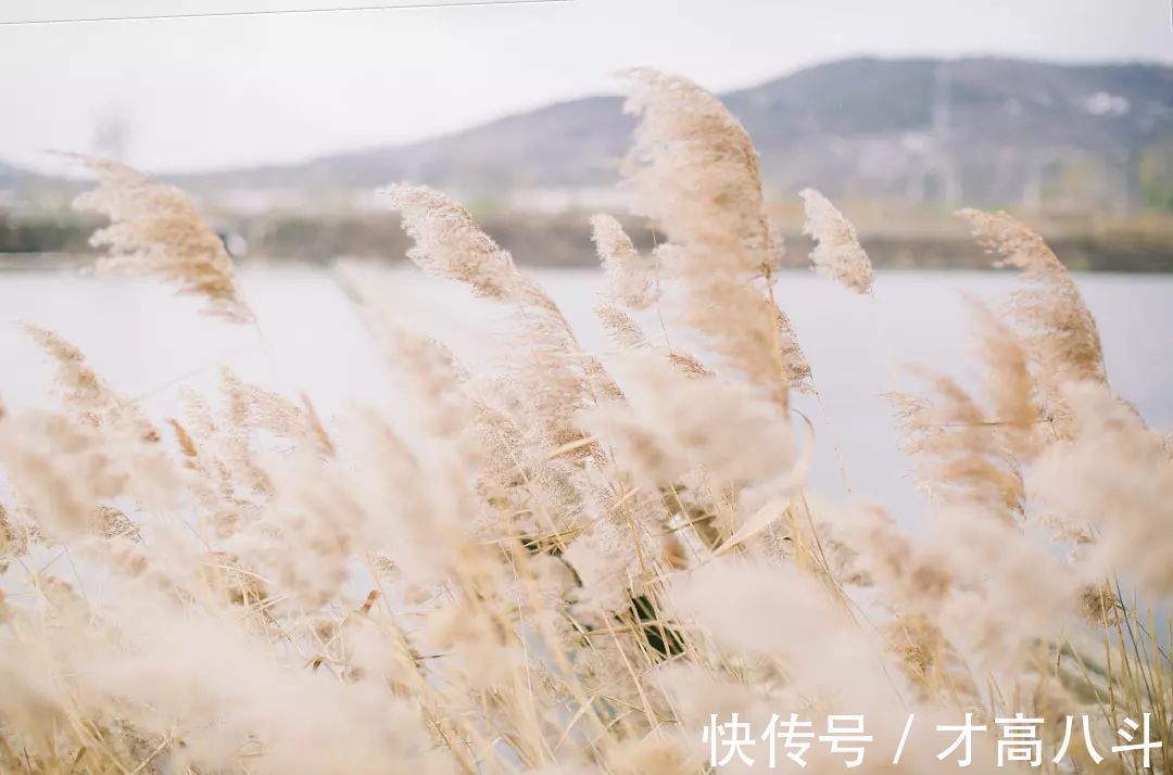 雪夜$看看10位名家笔下的雪景,太经典了!