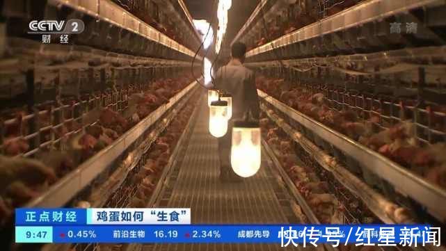 鸡蛋|可生食鸡蛋成消费＂新宠＂ 它真的安全卫生吗？