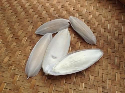 鱿鱼|男子切开巨型鱿鱼，发现透明“塑料管”，瞬间愣住了！