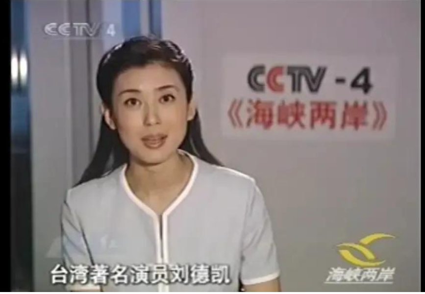 李红:14岁辍学,18岁逃婚,她如何从洗碗工逆袭成央视一姐? - 360娱乐,你开心就好