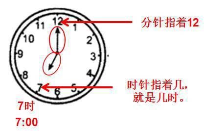 复习|北师大版一年级数学上册期末复习要点