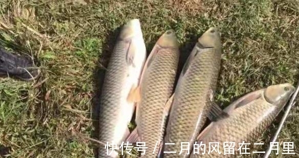 铅皮带|一补窝就停口该怎么办？更换钓位是下策，真正的高手都会这么做