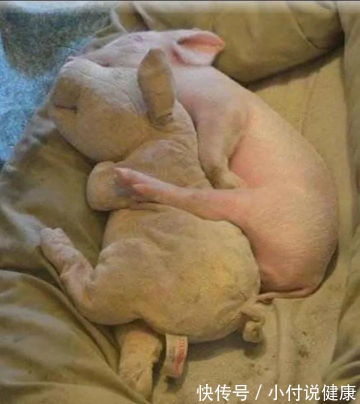 早起|养生之道请牢记:早起两不要,饭后两不急,睡前两坚持