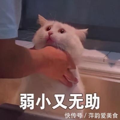 小棉袄|答应我!家有女宝,千万别对她做这6件事