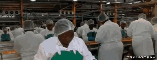 食材|中国人拿来“喂猪”的食材,起了个“洋名字”出口美国,遭人抢购