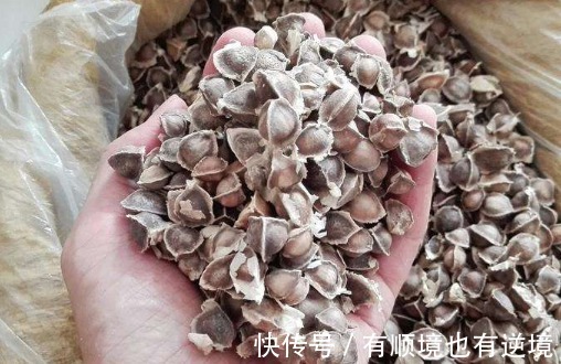 中老年人|藏在身边的天然“保肝王”，闲来喝一口，排出肝毒，肝病不来找