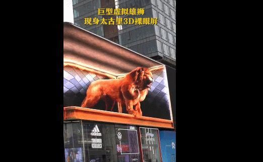 老年|太古里的3D熊猫，真没你看到的那么简单......