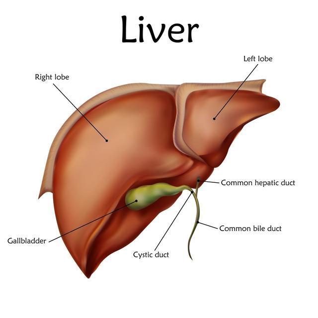 吃肉|饮食再清淡，方法不对血脂也会高，3招教你“吃”掉血脂