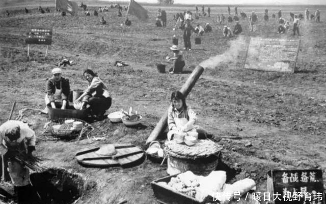 国家|60年代的知青,响应国家号召下乡,他们的生活如何?