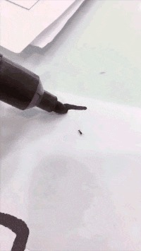 |搞笑GIF: 看着都觉得尴尬 下次就别在这种场合秀身材了