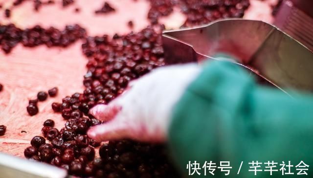 果肉|5种常见水果,却是寄生虫“仓库”,劝你少碰,以免得不偿失