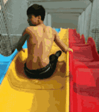 |搞笑GIF:家里养了宠物之后,连健身都没法好好进行了