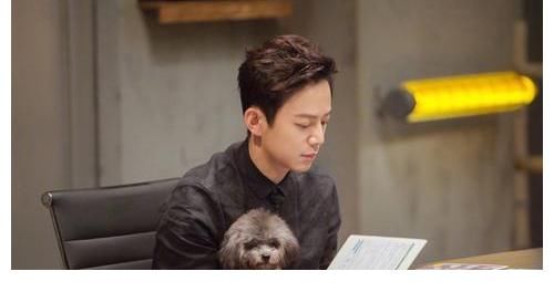 快乐家族全员停工？何炅新节目被顶替，疑似芒果禁止主持人接私活