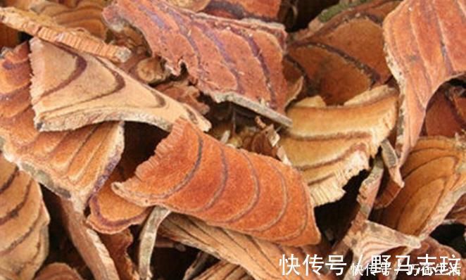 亚健康|此物具有活血化瘀的功效,是天然的“补血剂”,还不知道,不妨了解