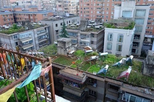 答案|楼梯房和电梯房哪个更值钱住宅“新标准”出台,答案出乎意料