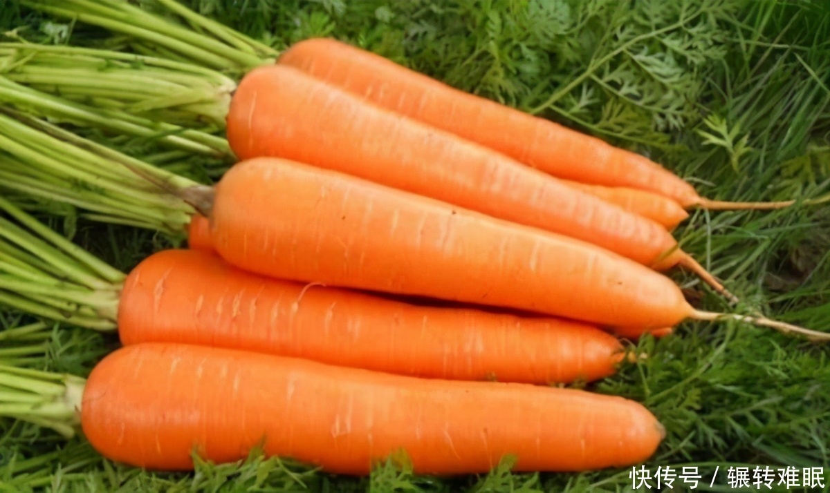 中年|女性到了中年，要学会吃3种食物，补充营养，滋补身体