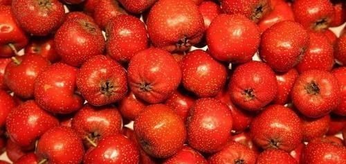 蓝莓|高血压的“克星”找到了，每天多吃点，血压或能“稳如泰山”！