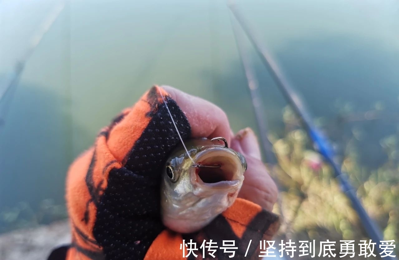 钓鱼中5个激动人心的时刻，这就是千万人爱好钓鱼的原因吧！