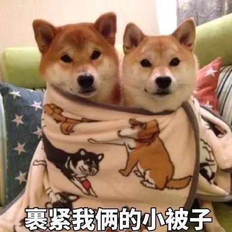 最后一场雪|中雪即将来袭!冷?冷?冷?!桓台最低温度降至…...