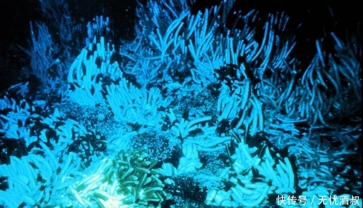 探测器发现冰下海洋？7亿千米外的深空，我们一无所知