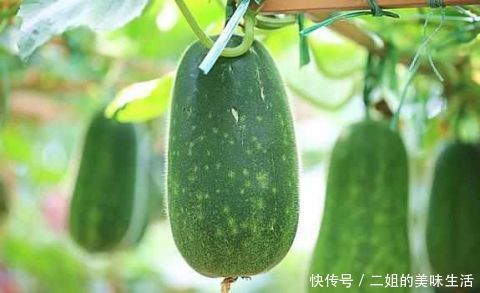 健壮|冬瓜吃起来，为了妙曼身姿，为了健壮身体