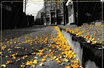 可人天#秋韵、秋思、秋雨!一品古人写给秋天的那些诗句