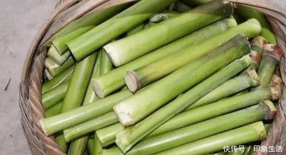 回忆|童年的回忆,吃过3种的叫叔叔,全部吃过的叫爷爷