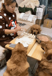 |搞笑GIF：霸气了我的姐 这辈子见过最拉风的走路姿势