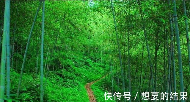 威力|他是梁山第91位好汉,头的威力比武松的拳还猛,近似鲁智深的禅杖!