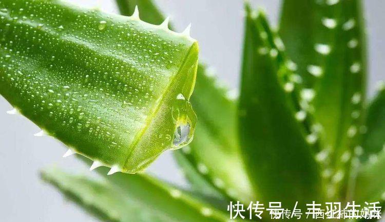 睡眠质量|女性想要身体好,多吃3种食物,排毒养颜,减肥瘦身,越活越年轻