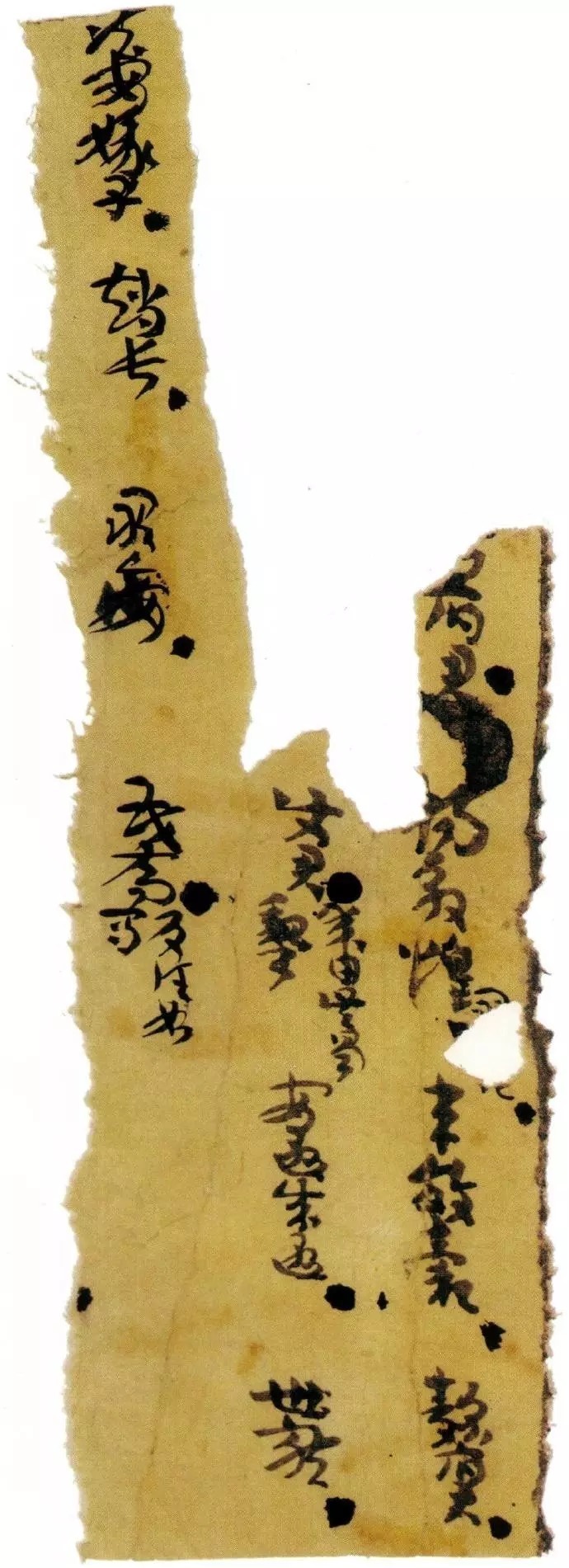 楼兰残纸|跨越千年的风霜