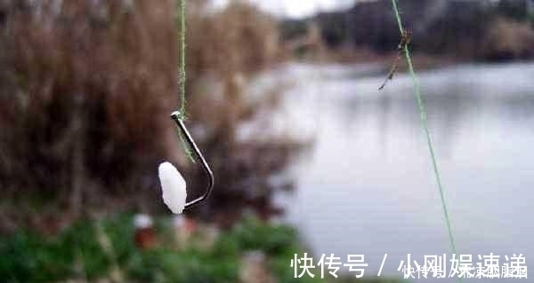 小鱼|剩米饭钓鱼老是钓不到、钓不好，这几个细节没做到，当然效果不行