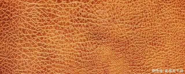 真皮|漆皮跟真皮有什么区别?