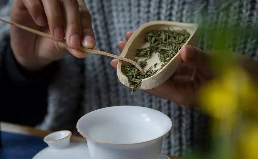 茶壶|取茶你都用手抓别这样做，告诉你正确的方法