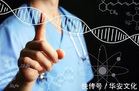 下丘脑|身体里有个“变瘦开关”，激活一下，体重“噌噌”往下掉！