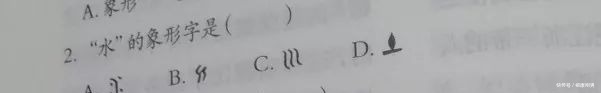  象形字|你了解汉字吗？为什么武则天要发明大写数字？