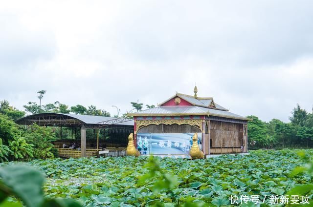 国内横跨两国的寨子,居民之间和睦相处,女孩表示想嫁过来