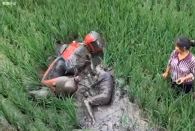 电动车|男子骑车掉进稻田被误以为奥特曼，网友忍俊不禁：又心疼又好笑