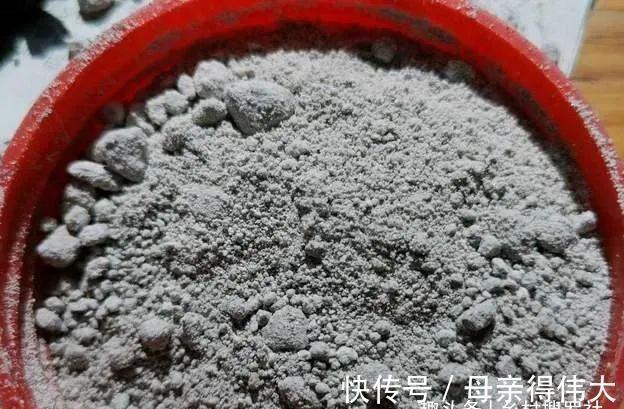 用它养兰花,一肥三效:促根、延长花期、改善水质,好多人不知道