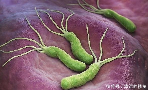  幽门|幽门螺杆菌的“天敌”找到了，坚持吃3物，肠胃越养越好，试试吧