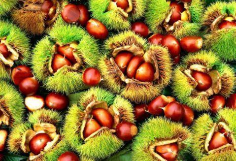 轻轻|20年板栗白吃了,竟不知有个“小机关”,轻轻一碰剥的又快又好