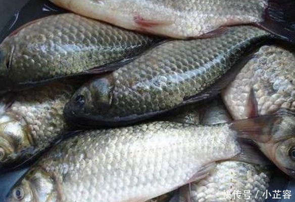 吃起来口感|菜市场最“坑”的3种鱼,很多人经常买,鱼贩子:我们都不吃