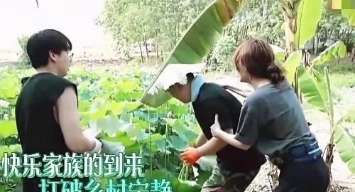 向往的生活：最嚣张一组嘉宾，嫌黄磊泡茶难喝，故意偷懒不干活，但无人敢说！