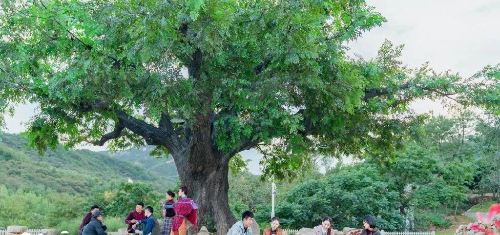 孙光明 《温暖的味道》大结局：孙光明和岳岚破镜重圆，事业家庭双丰收