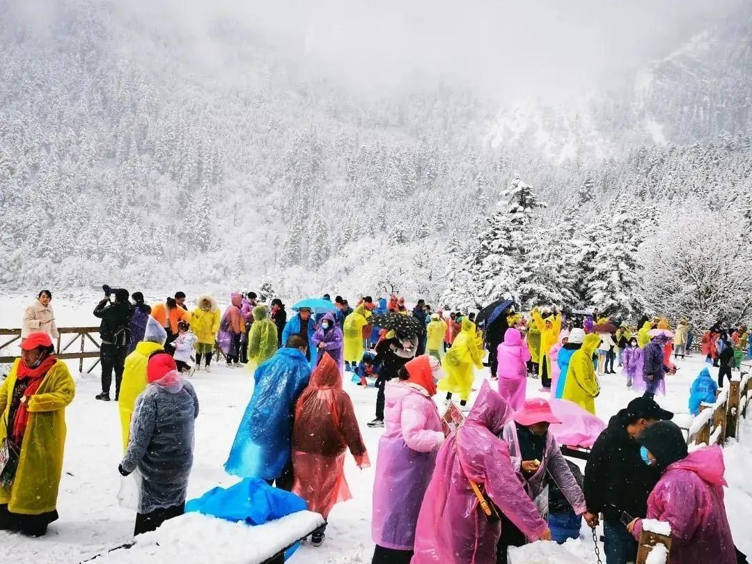 一场春雪 万种风情~九寨沟等你来“撩”！