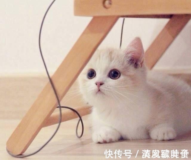 |笑得直不起腰的厚脸皮句子,幽默风趣,搞笑逗比!